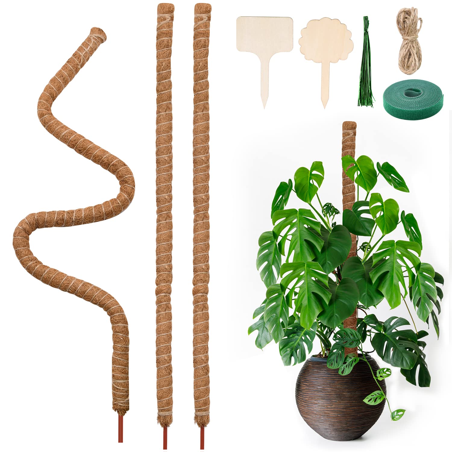 FGBNM Moss Stick, 3 Pack 48 Inch High Moss Pole for Plants